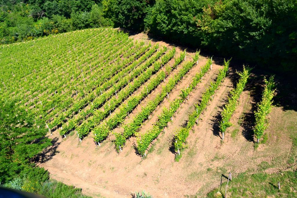 Agriturismo Le Cantine Poggibonsi Exteriör bild